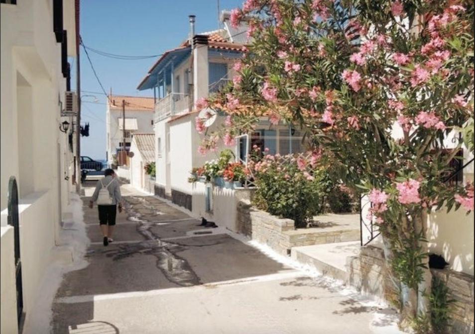 Studios Marin كوكاري المظهر الخارجي الصورة